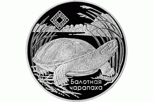 Купить Монета БЕЛАРУСЬ Средняя Припять - Болотная Черепаха ЗАКАЗНИКИ 1 рубль оригинал по лучшей цене. Доставка по Москве бесплатно. Встречи на кольцевых станциях метро Купить Монета БЕЛАРУСЬ Средняя Припять - Болотная Черепаха ЗАКАЗНИКИ 1 рубль оригинал по лучшей цене. Доставка по Москве бесплатно. Встречи на кольцевых станциях метро
