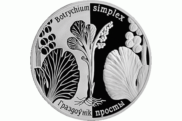 Монета БЕЛАРУСЬ 2014.12.29| Гроздовник простой | 1 рубль | Cu-Ni |