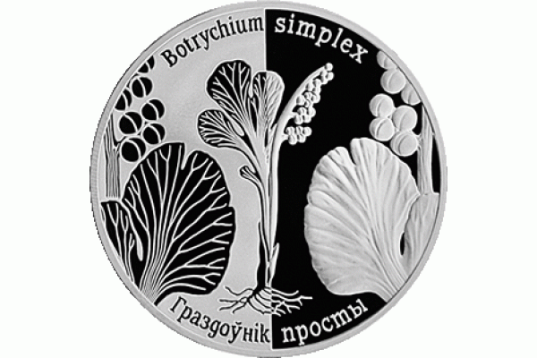 Монета БЕЛАРУСЬ 2014.12.29| Гроздовник простой | 1 рубль | Cu-Ni | Монета БЕЛАРУСЬ 2014.12.29| Гроздовник простой | 1 рубль | Cu-Ni |