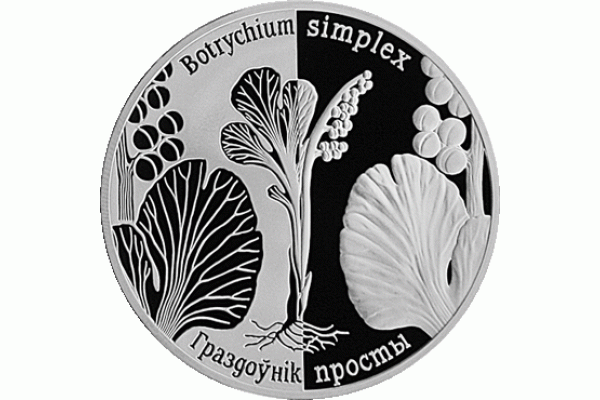 Монета БЕЛАРУСЬ ГРОЗДОВНИК ПРОСТОЙ 20 рублей Ag  СЕРЕБРО! По лучшей цене! Заходите, у нас отличный выбор Белорусских монет! Бесплатная доставка по Москве! Быстрая отправка почтой!
