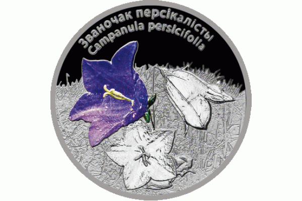 2014.06.25 | КОЛОКОЛЬЧИК ПЕРСИКОЛИСТНЫЙ цветы| 20 рублей | Ag 925 |