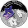 2014.06.25 | КОЛОКОЛЬЧИК ПЕРСИКОЛИСТНЫЙ цветы| 20 рублей | Ag 925 |