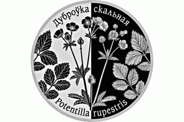 Монета БЕЛАРУСЬ 2017.12.26 | ЛАПЧАТКА СКАЛЬНАЯ возрожденные растения 1 рубль ! По лучшей цене! Заходите, у нас отличный выбор Белорусских монет! Бесплатная доставка по Москве! Быстрая отправка почтой! Монета БЕЛАРУСЬ 2017.12.26 | ЛАПЧАТКА СКАЛЬНАЯ возрожденные растения 1 рубль ! По лучшей цене! Заходите, у нас отличный выбор Белорусских монет! Бесплатная доставка по Москве! Быстрая отправка почтой!